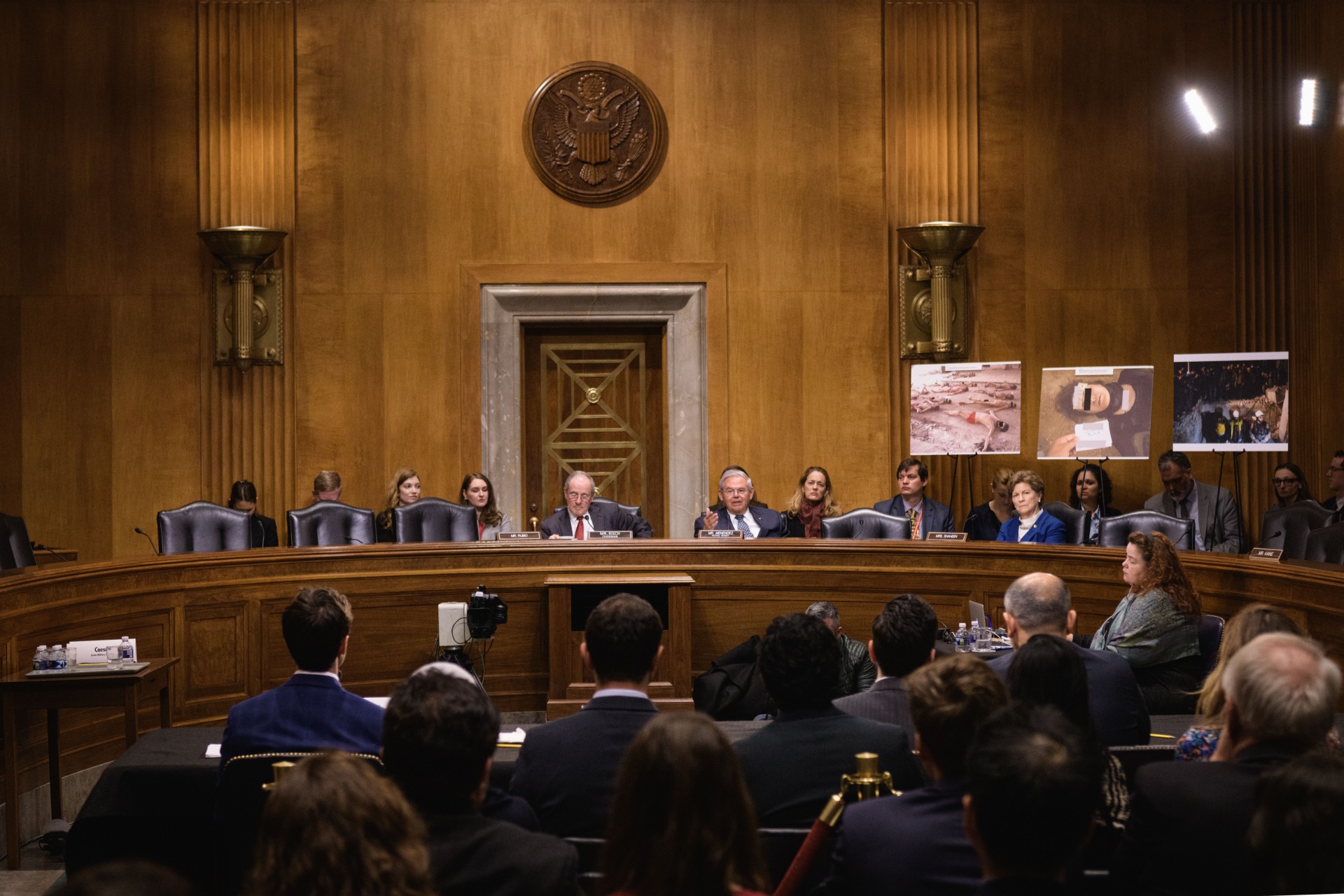 committee in panel